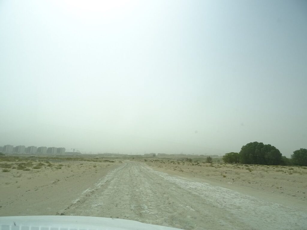 Tilal Dubai, Al Hebiah Fifth: Dubai Land Department inspection photo, August 2016