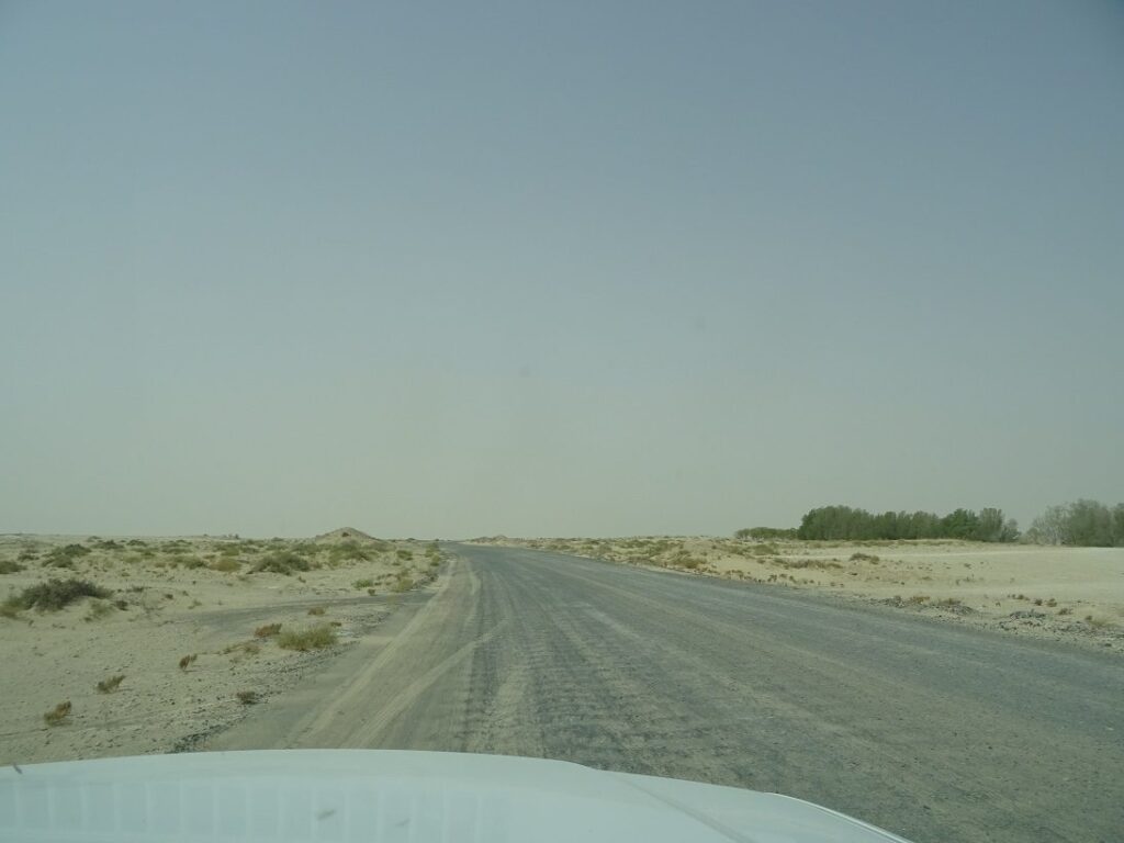 Tilal Dubai, Al Hebiah Fifth: Dubai Land Department inspection photo, August 2016