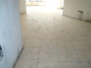 Rasha 2, Dubai: Dubai Land Department inspection photo, February 2014