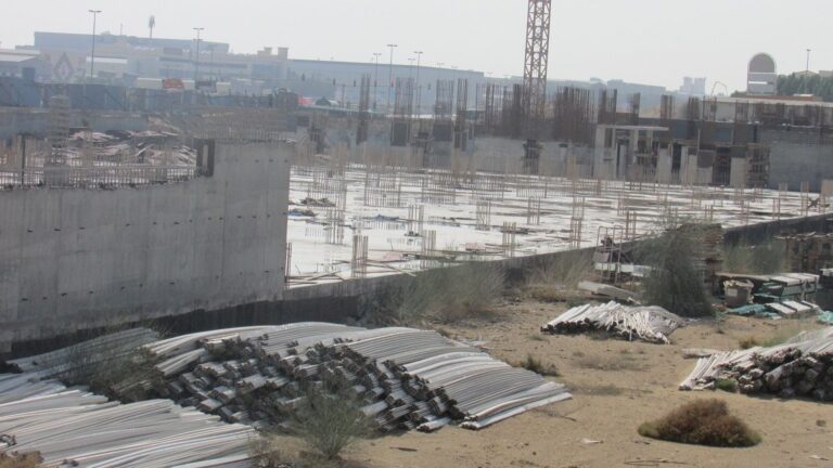 Dubai Lagoon Winterberry, Dubai Investment Park First: Dubai Land Department inspection photo, January 2018
