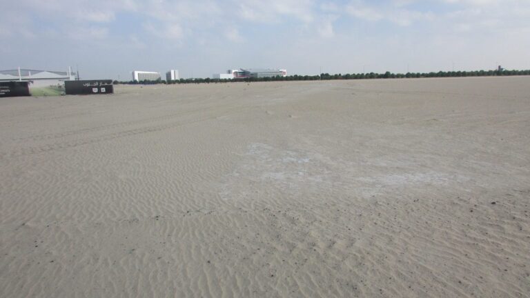 Saffron, Madinat Al Mataar: Dubai Land Department inspection photo, December 2018