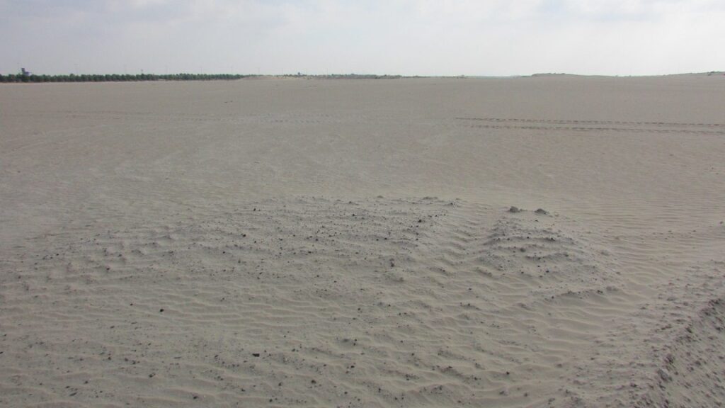 Saffron, Madinat Al Mataar: Dubai Land Department inspection photo, December 2018