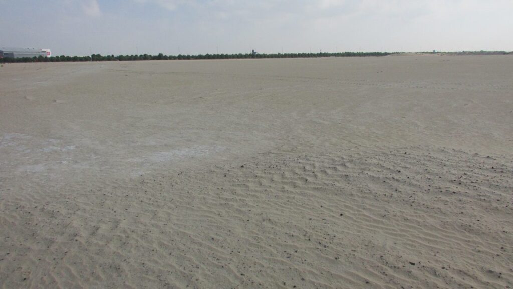 Saffron, Madinat Al Mataar: Dubai Land Department inspection photo, December 2018