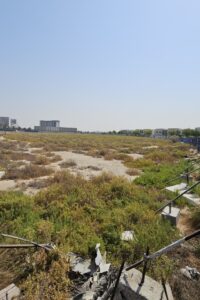 The Assembly, Madinat Al Mataar: project render