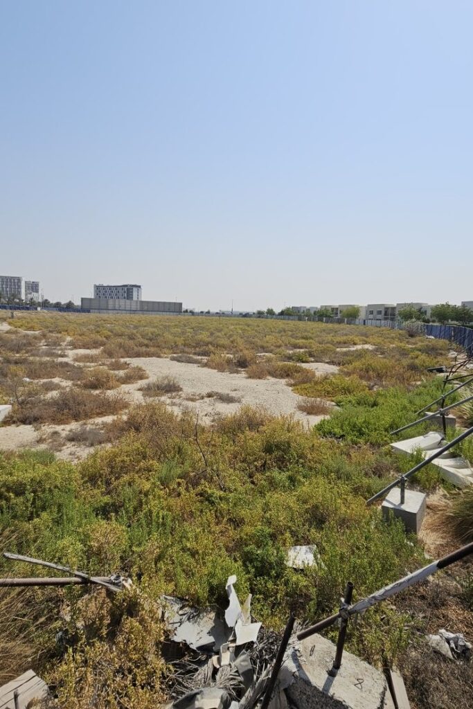 The Assembly, Madinat Al Mataar: project render