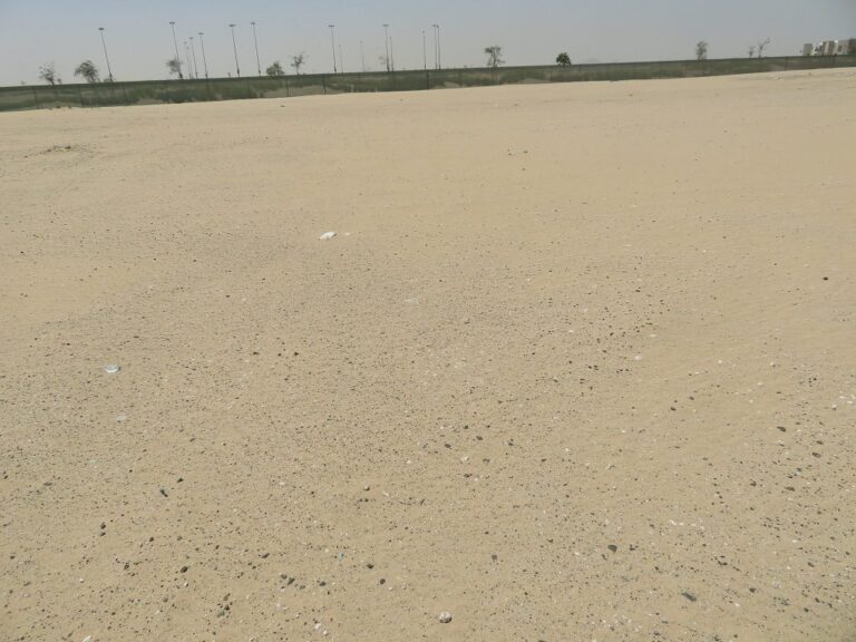 Expo Golf Apartments, Madinat Al Mataar: Dubai Land Department inspection photo, April 2020