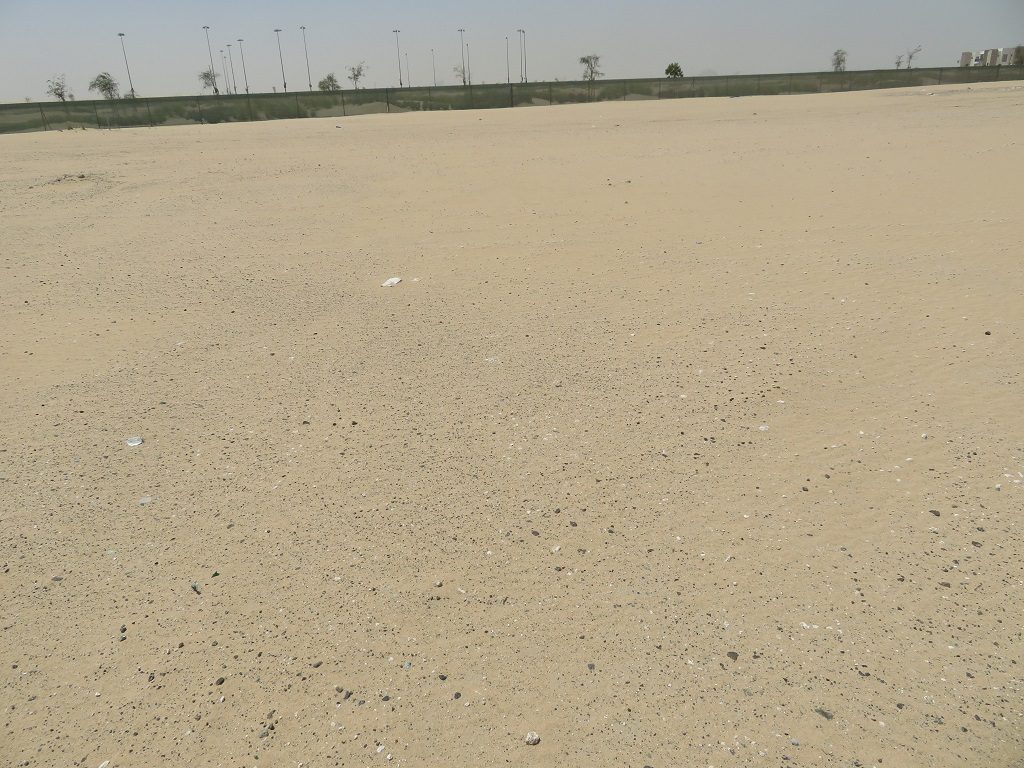 Expo Golf Apartments, Madinat Al Mataar: Dubai Land Department inspection photo, April 2020