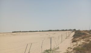 Serenia, Al Yelayiss 5: Dubai Land Department inspection photo, August 2024