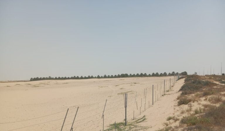 Serenia, Al Yelayiss 5: Dubai Land Department inspection photo, August 2024