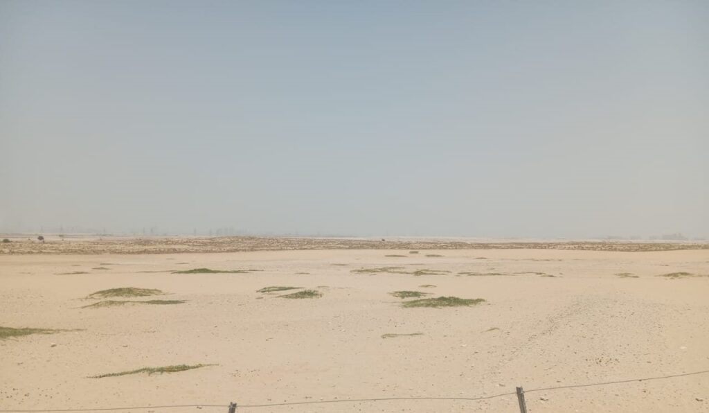 Serenia, Al Yelayiss 5: Dubai Land Department inspection photo, August 2024