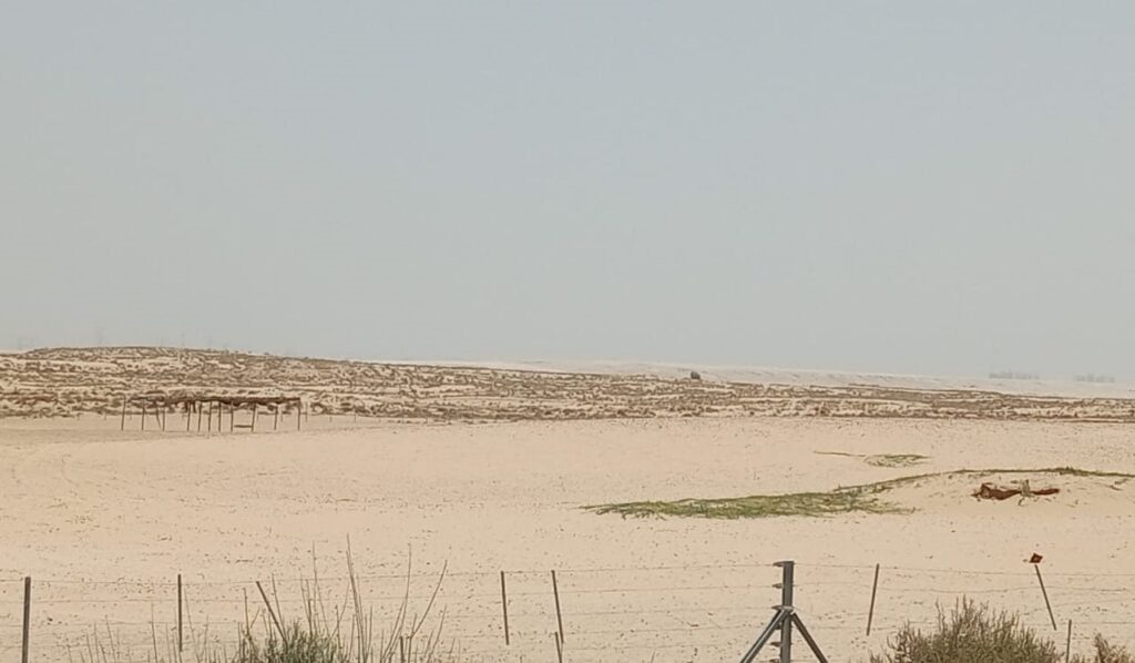 Aviara, Al Yelayiss 5: Dubai Land Department inspection photo, August 2024