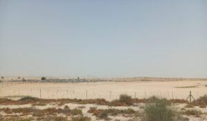 Aviara, Al Yelayiss 5: Dubai Land Department inspection photo, August 2024