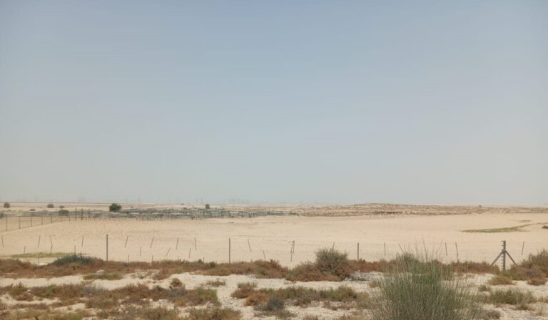 Aviara, Al Yelayiss 5: Dubai Land Department inspection photo, August 2024