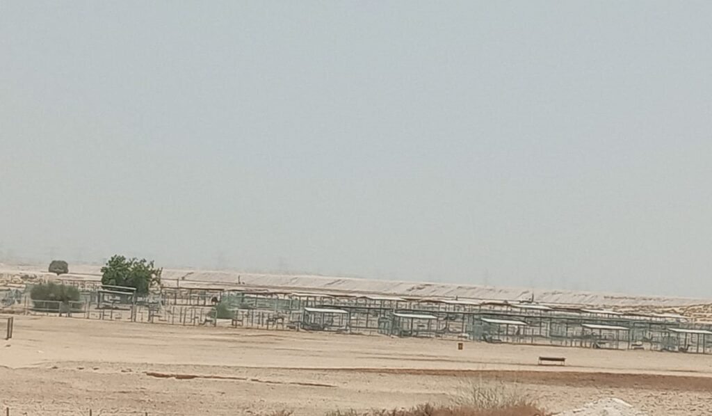 Bellaria, Al Yelayiss 5: Dubai Land Department inspection photo, August 2024
