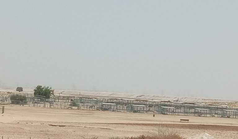 Bellaria, Al Yelayiss 5: Dubai Land Department inspection photo, August 2024