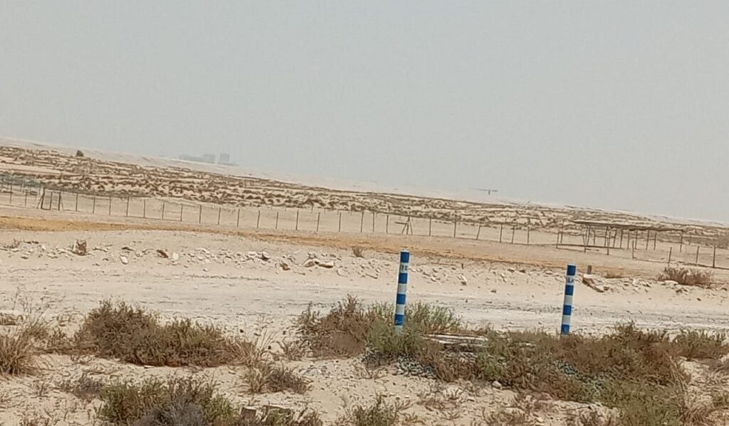 Bellaria, Al Yelayiss 5: Dubai Land Department inspection photo, August 2024