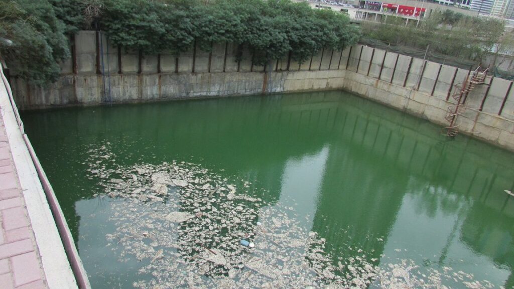 Vista Del Lago, Al Thanyah Fifth: Dubai Land Department inspection photo, February 2017